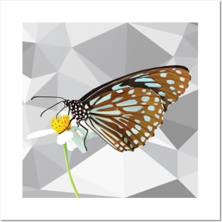 Geometrical Brown Spotted Butterfly Posters and Art